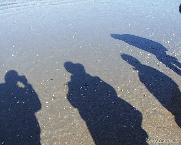 PIC00006.JPG