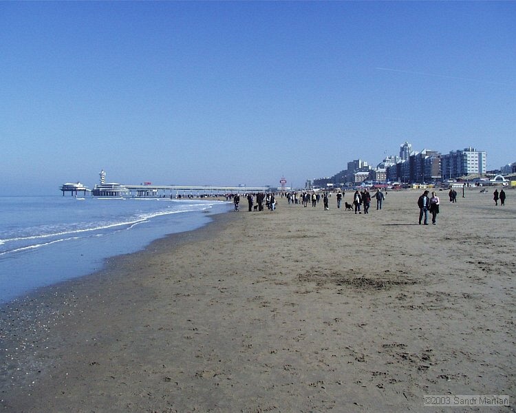 PIC00007.JPG