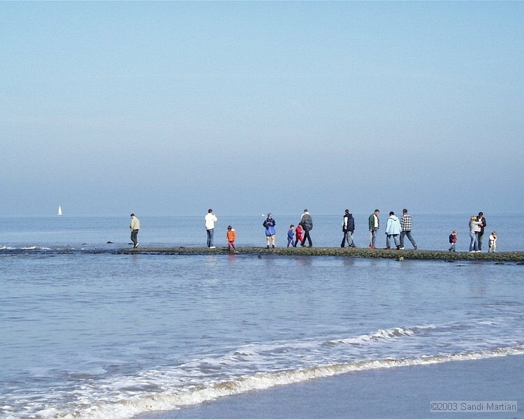 PIC00009.JPG