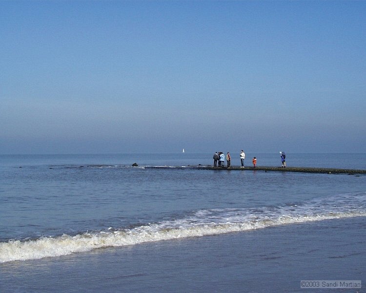 PIC00010.JPG