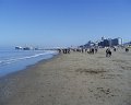 PIC00007