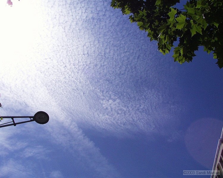 PIC00043.jpg