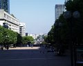 PIC00029