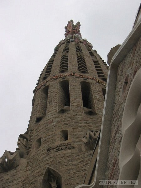 IMG_2372.JPG