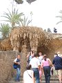 IMG_2195