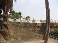 IMG_2202