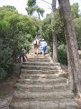 IMG_2226