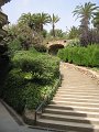 IMG_2228