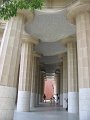 IMG_2229