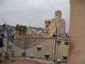 IMG_2241