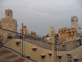 IMG_2242