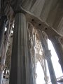 IMG_2308