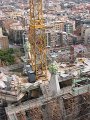 IMG_2331