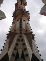IMG_2341