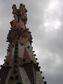 IMG_2346