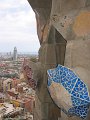 IMG_2360