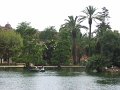IMG_2401