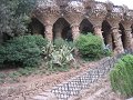 IMG_2420