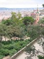 IMG_2425