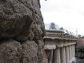 IMG_2449