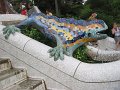 IMG_2454