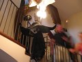 IMG_2706