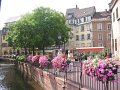 IMG_2929