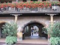 IMG_2938
