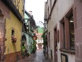 IMG_2967