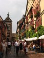 IMG_2979
