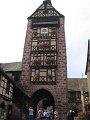 IMG_2982