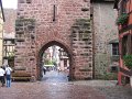 IMG_2994