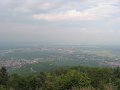 IMG_3005