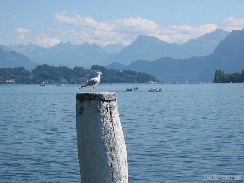 IMG_2001.JPG