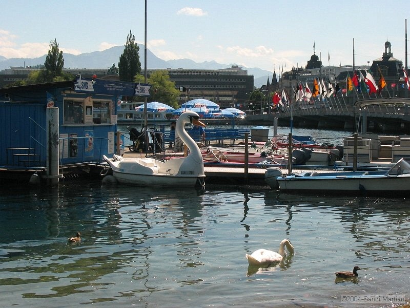 IMG_2007.JPG