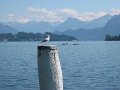 IMG_2001