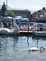 IMG_2008