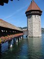 Lucerna
