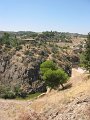 IMG_2501