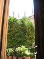IMG_2502