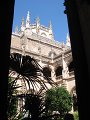 IMG_2507