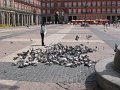 IMG_2591