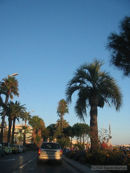 IMG_2732.JPG