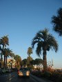 IMG_2732