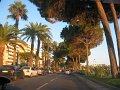 IMG_2737