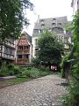 IMG_1954