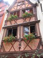 IMG_1961