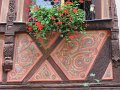 IMG_1962