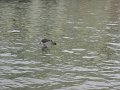 IMG_1968