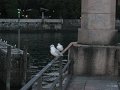 IMG_2772